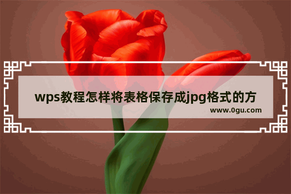 wps教程怎样将表格保存成jpg格式的方法