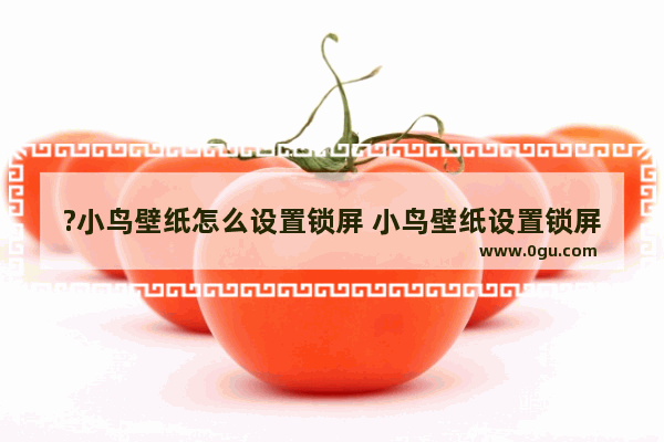 ?小鸟壁纸怎么设置锁屏 小鸟壁纸设置锁屏壁纸的方法教程