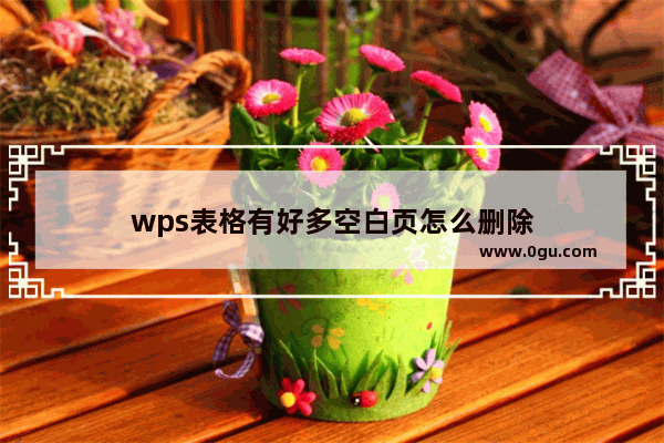 wps表格有好多空白页怎么删除