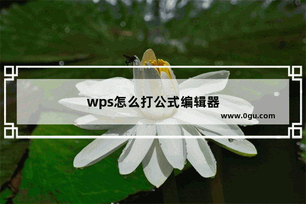 wps怎么打公式编辑器