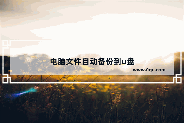 电脑文件自动备份到u盘