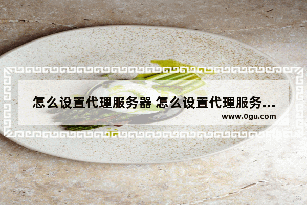 怎么设置代理服务器 怎么设置代理服务器地址