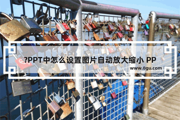 ?PPT中怎么设置图片自动放大缩小 PPT中设置图片放大后再缩小的方法教程