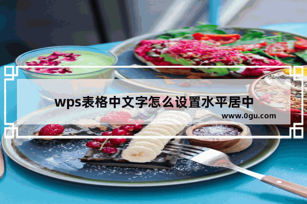 wps表格中文字怎么设置水平居中