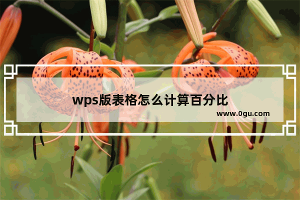 wps版表格怎么计算百分比