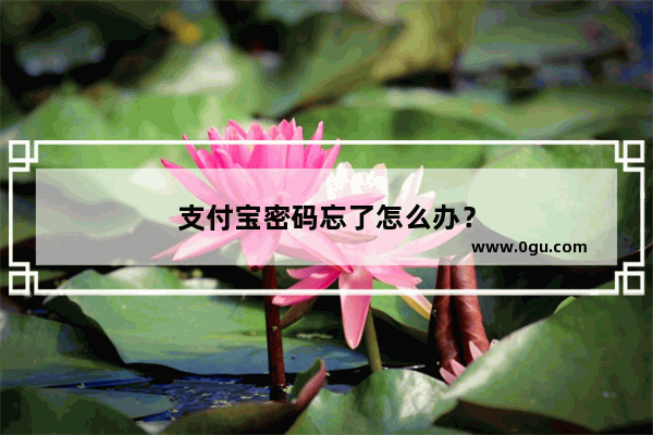 支付宝密码忘了怎么办？