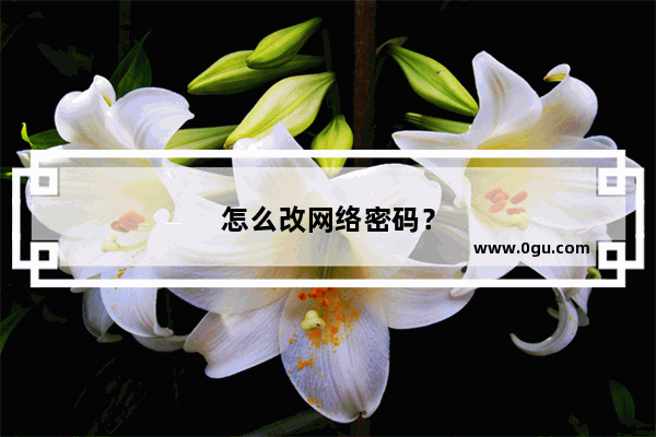 怎么改网络密码？