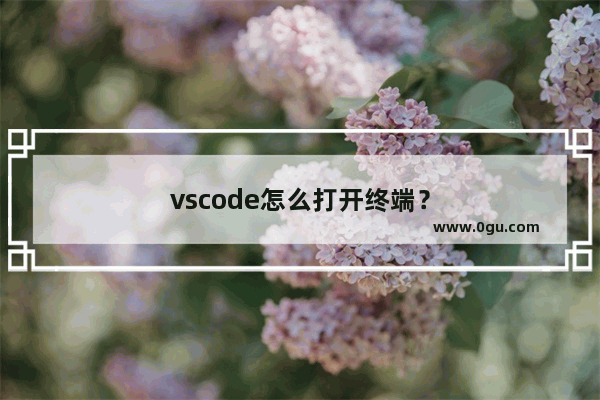 vscode怎么打开终端？