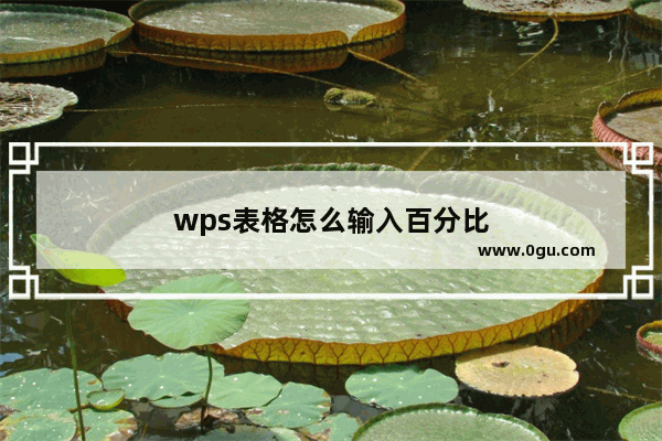 wps表格怎么输入百分比