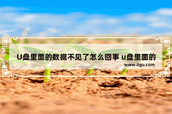 U盘里面的数据不见了怎么回事 u盘里面的数据不见了怎么回事儿