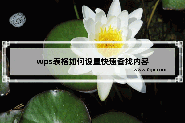 wps表格如何设置快速查找内容