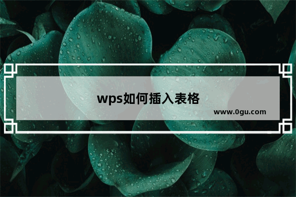 wps如何插入表格