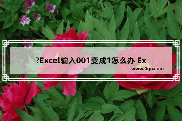 ?Excel输入001变成1怎么办 Excel表格中填写001序号的方法教程