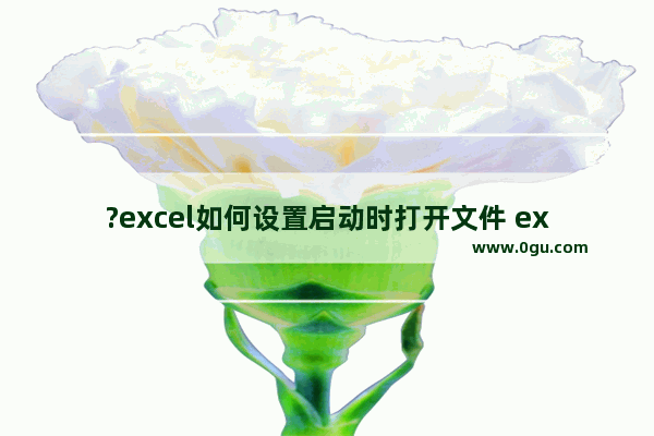?excel如何设置启动时打开文件 excel启动时自动打开文件的设置方法