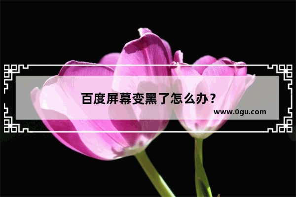 百度屏幕变黑了怎么办？
