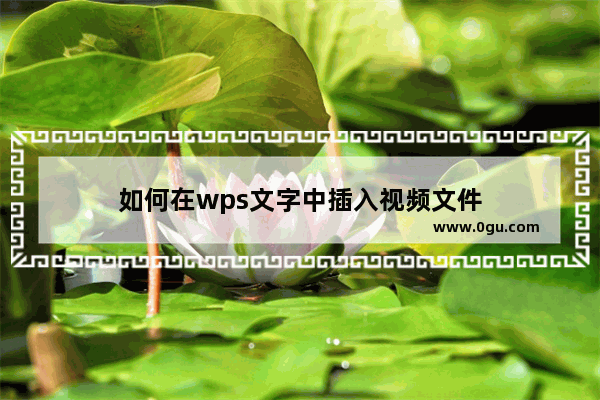 如何在wps文字中插入视频文件