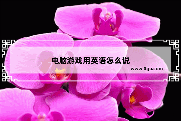 电脑游戏用英语怎么说