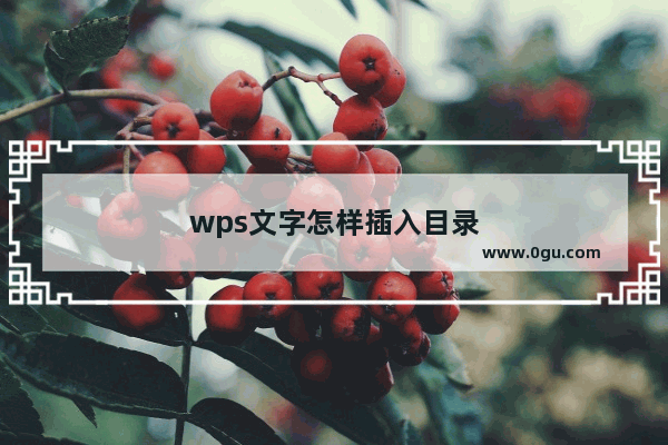 wps文字怎样插入目录