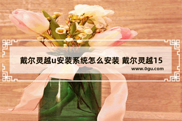戴尔灵越u安装系统怎么安装 戴尔灵越15u盘安装系统