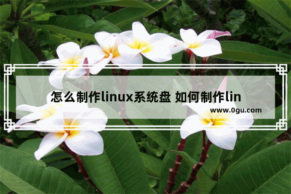 怎么制作linux系统盘 如何制作linux安装盘