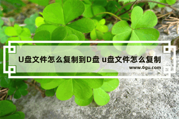 U盘文件怎么复制到D盘 u盘文件怎么复制到d盘里