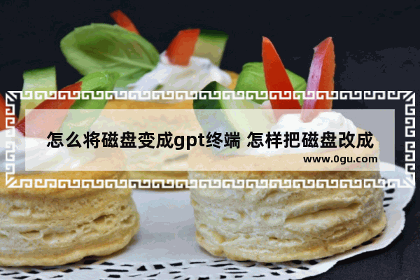 怎么将磁盘变成gpt终端 怎样把磁盘改成gpt