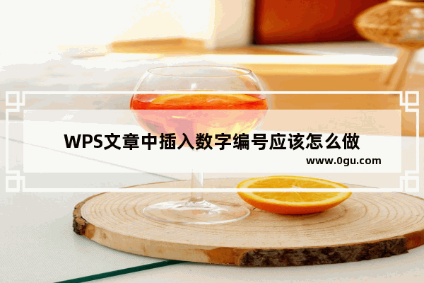 WPS文章中插入数字编号应该怎么做