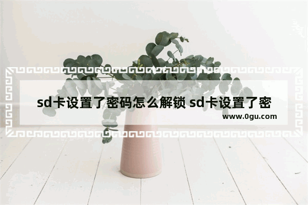 sd卡设置了密码怎么解锁 sd卡设置了密码怎么解锁不了