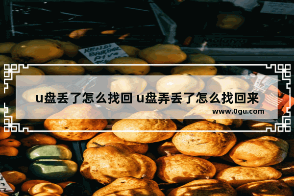 u盘丢了怎么找回 u盘弄丢了怎么找回来