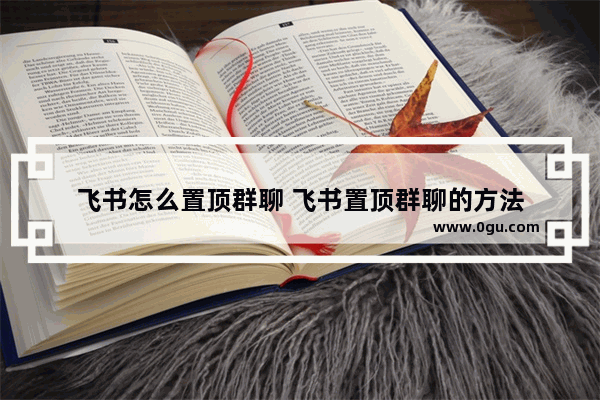飞书怎么置顶群聊 飞书置顶群聊的方法