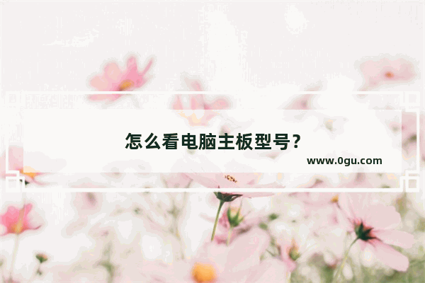 怎么看电脑主板型号？