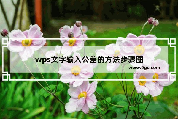 wps文字输入公差的方法步骤图