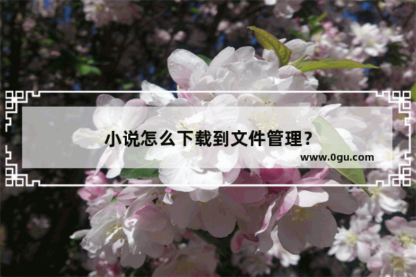 小说怎么下载到文件管理？