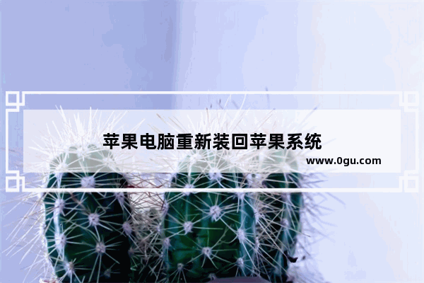 苹果电脑重新装回苹果系统