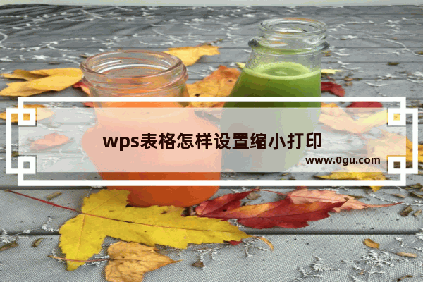 wps表格怎样设置缩小打印
