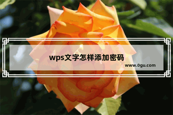 wps文字怎样添加密码