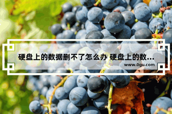 硬盘上的数据删不了怎么办 硬盘上的数据删不了怎么办呢