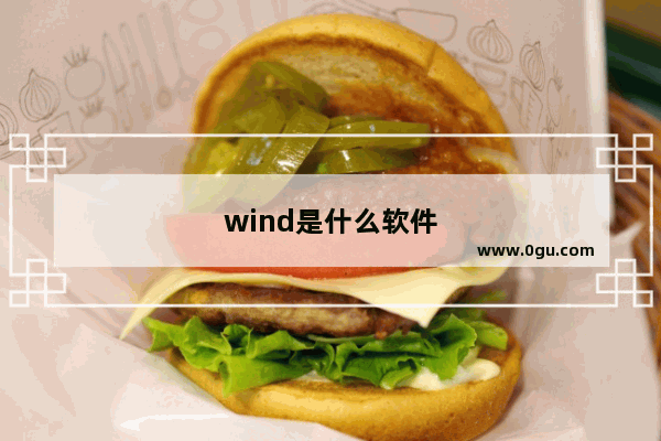 wind是什么软件