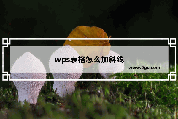wps表格怎么加斜线