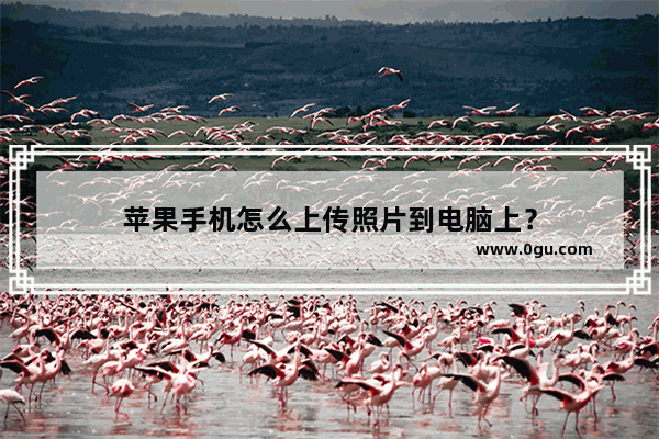 苹果手机怎么上传照片到电脑上？