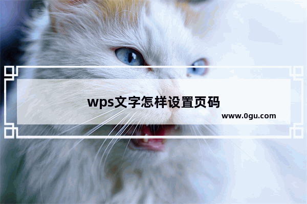 wps文字怎样设置页码