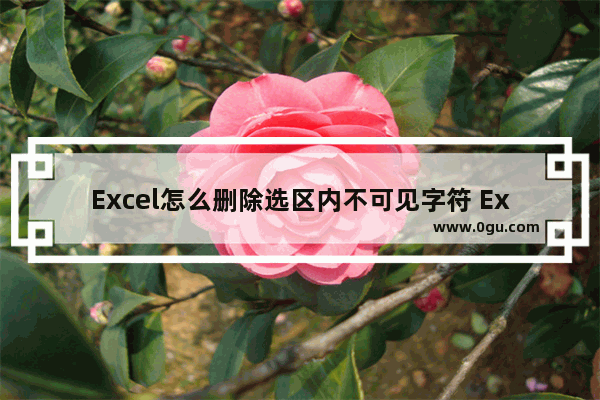 Excel怎么删除选区内不可见字符 Excel删除选区内不可见字符的方法