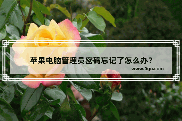 苹果电脑管理员密码忘记了怎么办？