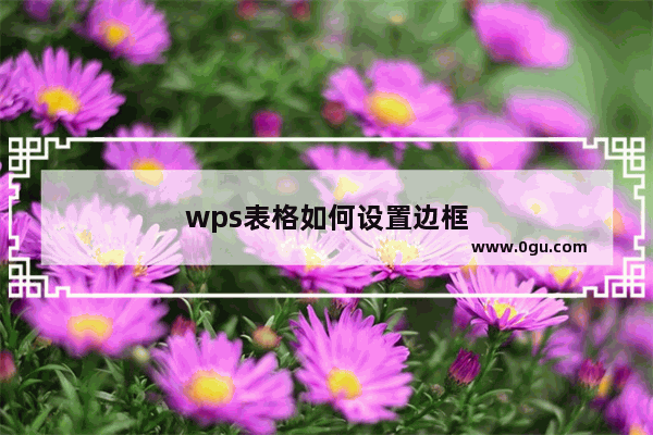 wps表格如何设置边框