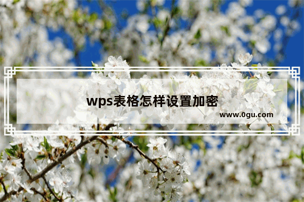 wps表格怎样设置加密