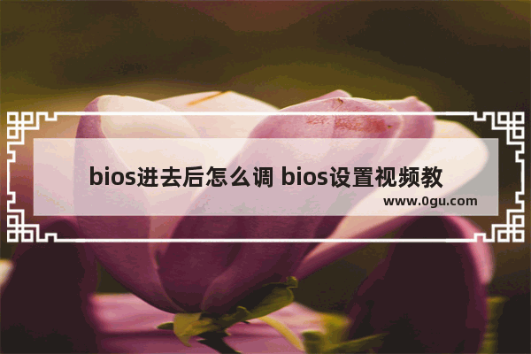 bios进去后怎么调 bios设置视频教程