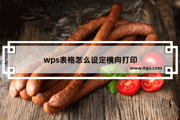 wps表格怎么设定横向打印