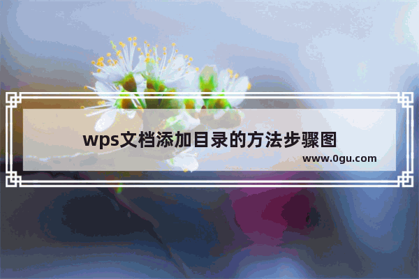 wps文档添加目录的方法步骤图