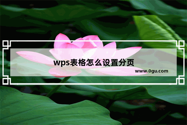 wps表格怎么设置分页
