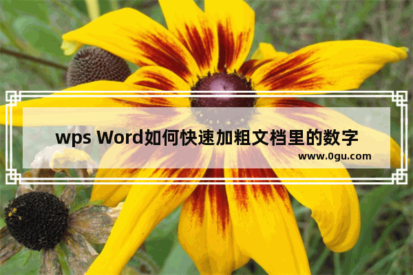 wps Word如何快速加粗文档里的数字 WPS Word快速加粗文档里的数字的方法